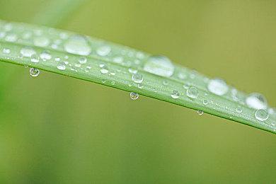 GOG平台高层强调 平台最大宗旨是成为古典游戏栖息地